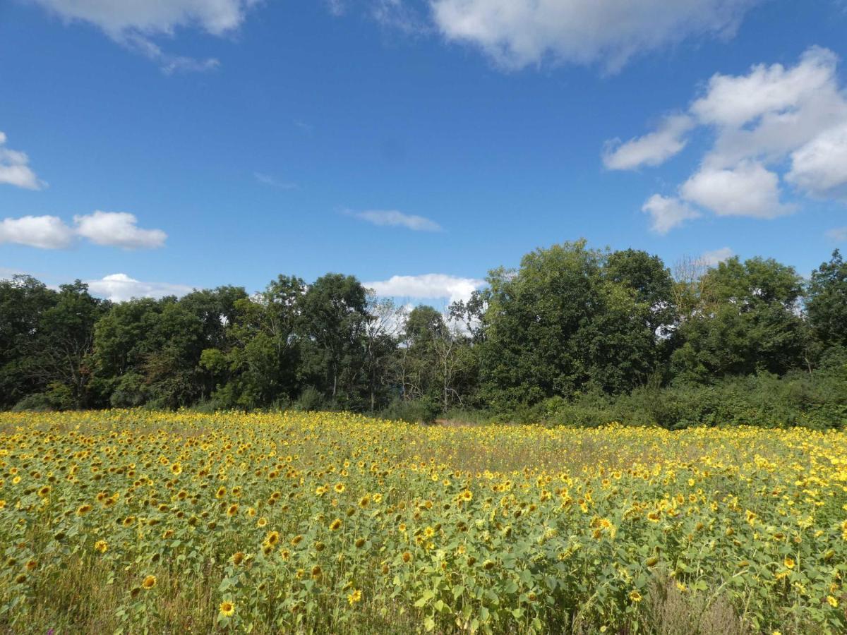 Naturstammhaus Tollensesee Gross Nemerow Bagian luar foto